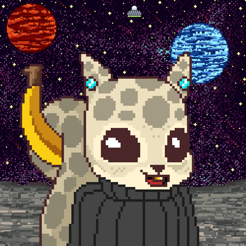 Pixel Squirrels #1681